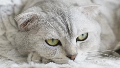 开云体育app-九游体育平台：让体育热爱在掌心起舞的全新体验