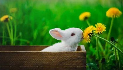 开云体育app-九游体育平台：让体育热爱在掌心起舞的全新体验